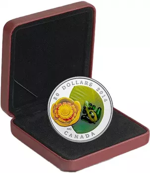 Preview: Etui, Zertifikat